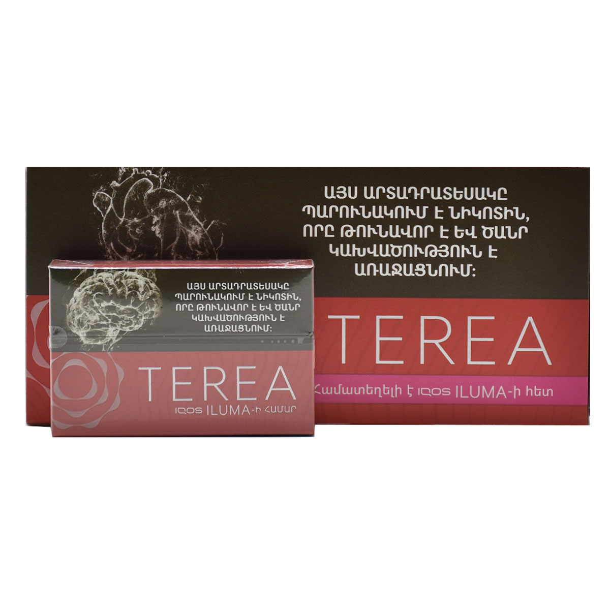 سیگار ترا سینا ارمنی/TEREA Sienna Armania