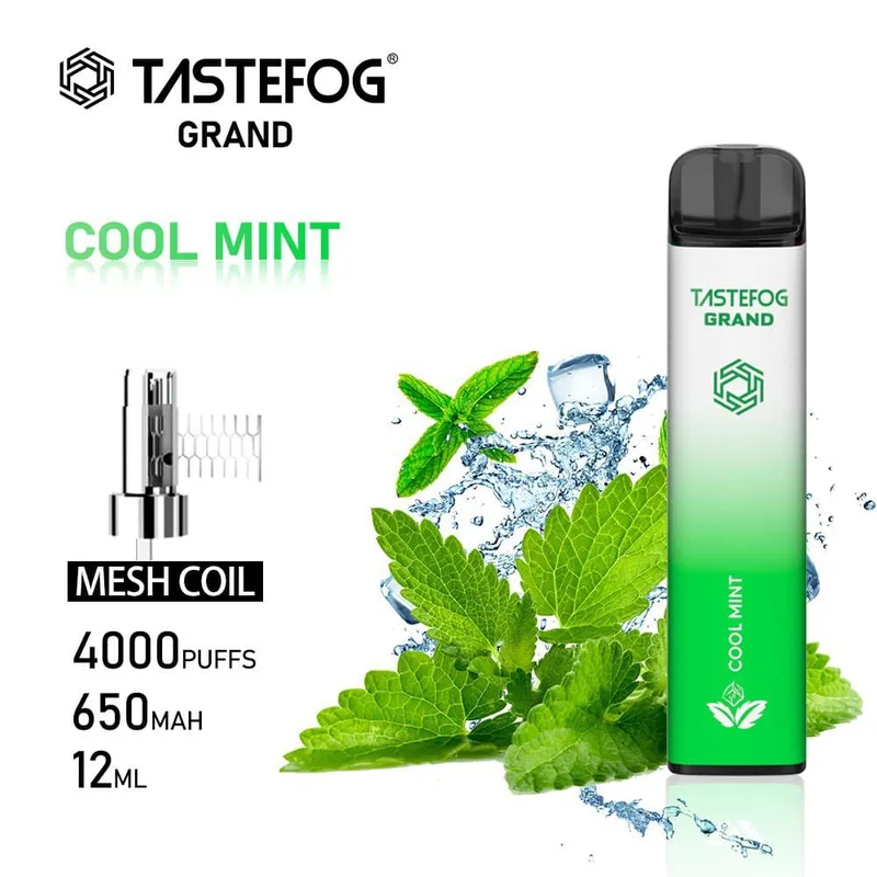 پاد یکبار مصرف با طعم نعنا خنک | Taste Fog Cool Mint (4000 پاف)